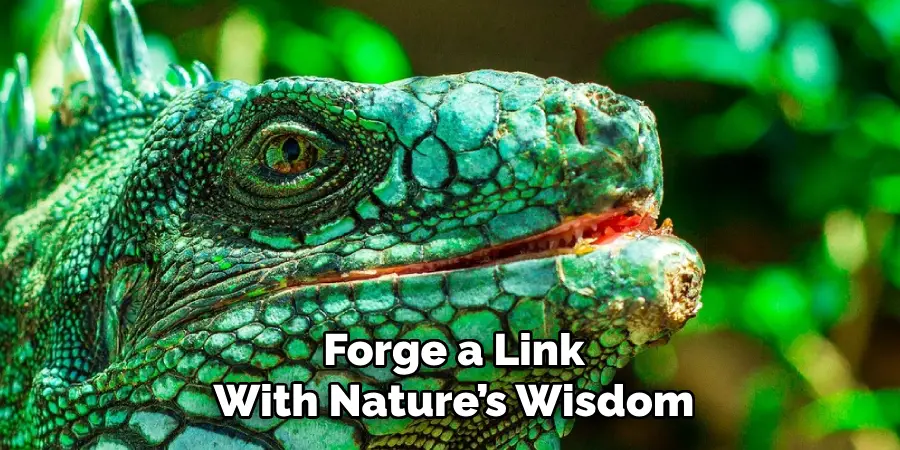 Forge a Link
With Nature’s Wisdom