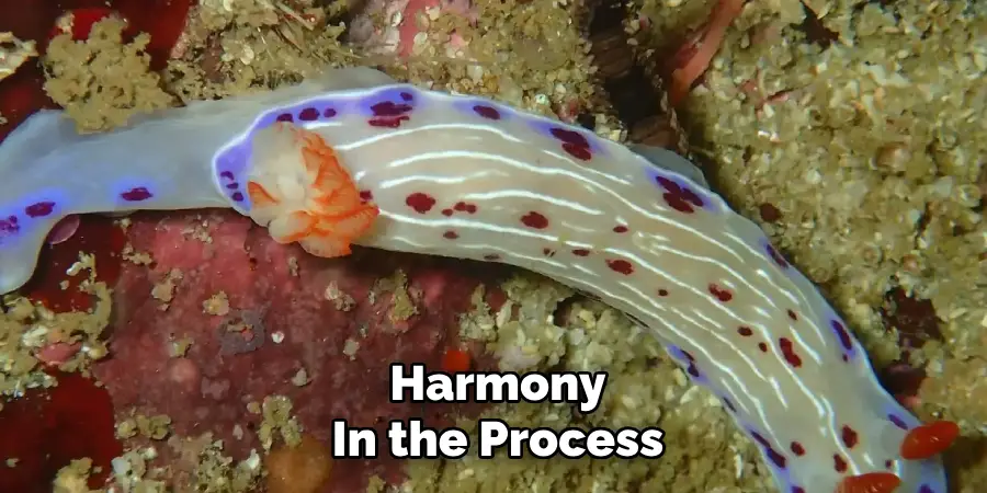 Harmony
In the Process