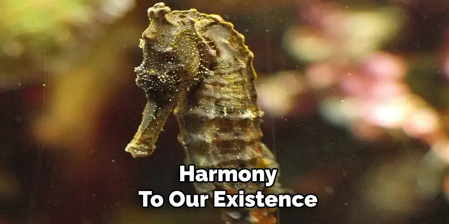 Harmony
To Our Existence
