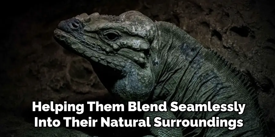 Helping Them Blend Seamlessly
Into Their Natural Surroundings