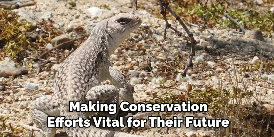 Making Conservation
Efforts Vital for Their Future