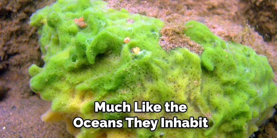 Much Like the
Oceans They Inhabit
