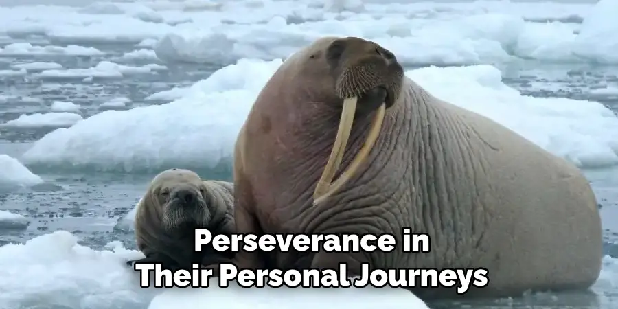 Perseverance in
Their Personal Journeys