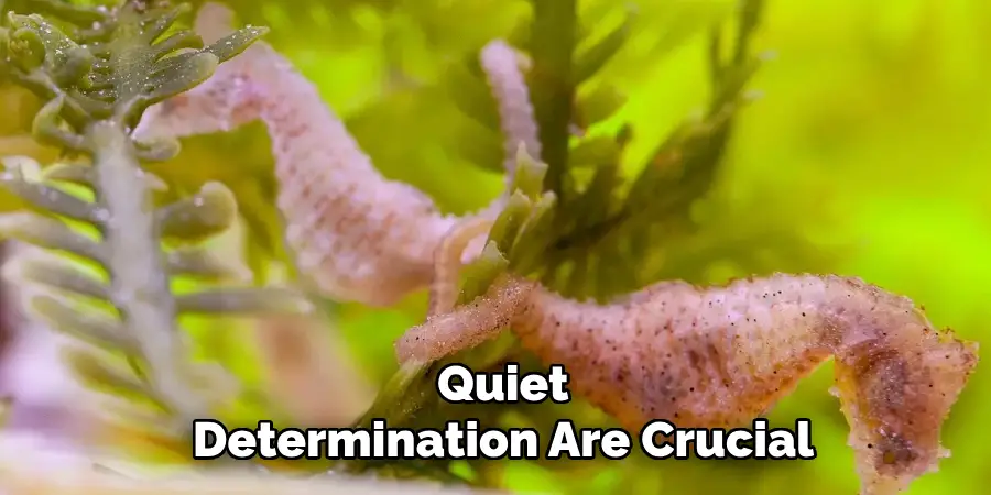 Quiet
Determination Are Crucial