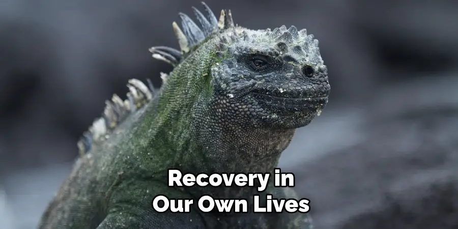 Recovery in
Our Own Lives