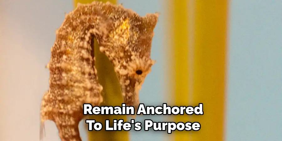 Remain Anchored
To Life's Purpose