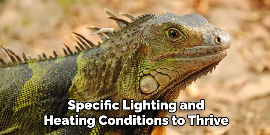 Specific Lighting and
Heating Conditions to Thrive