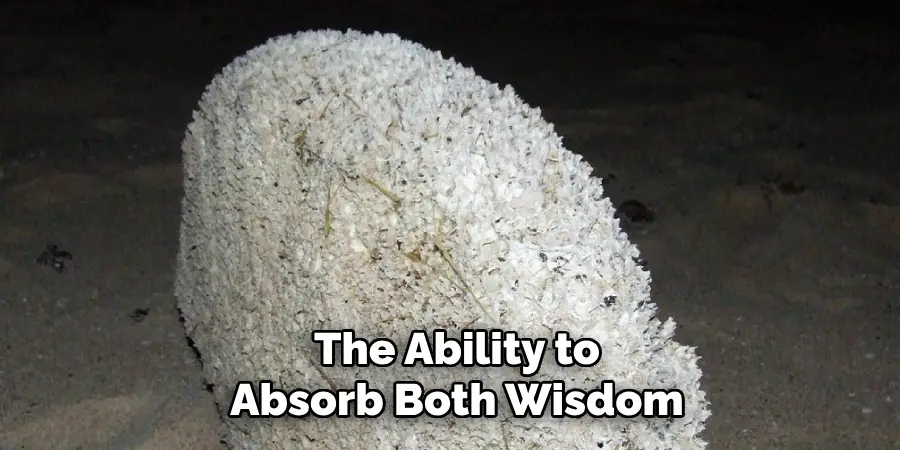 The Ability to
Absorb Both Wisdom