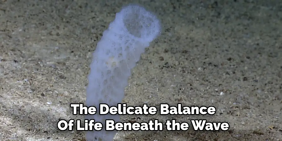 The Delicate Balance
Of Life Beneath the Wave