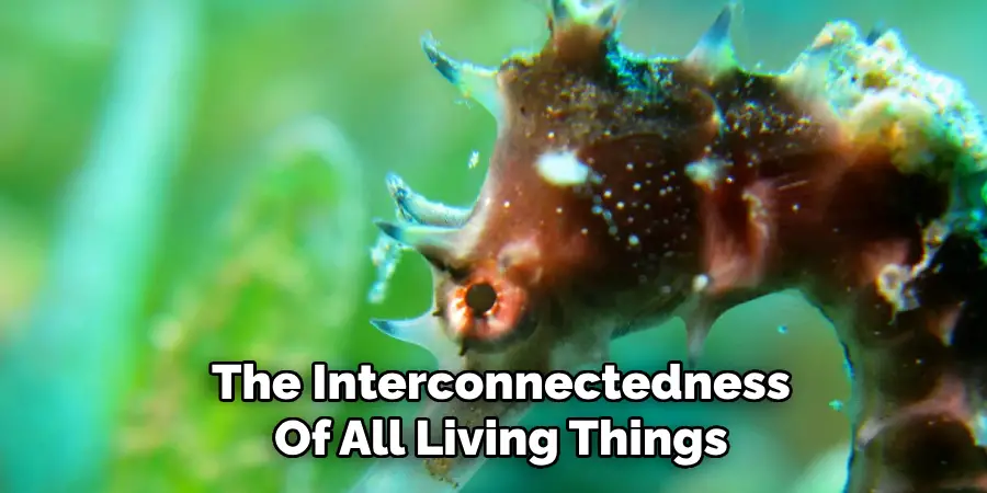 The Interconnectedness
Of All Living Things
