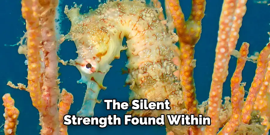 The Silent
Strength Found Within
