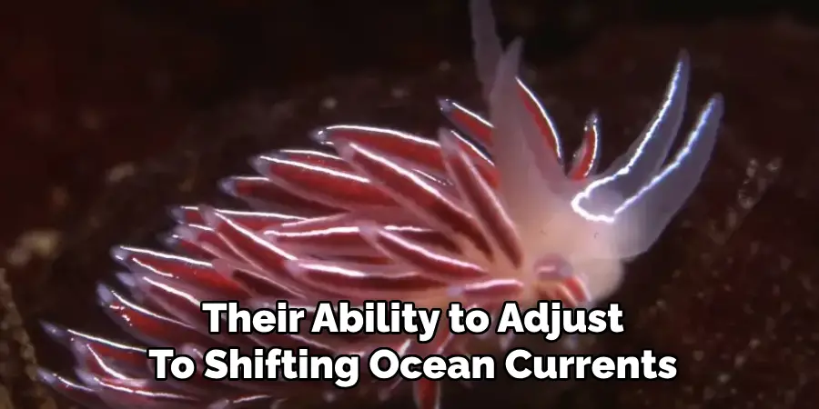 Their Ability to Adjust
To Shifting Ocean Currents