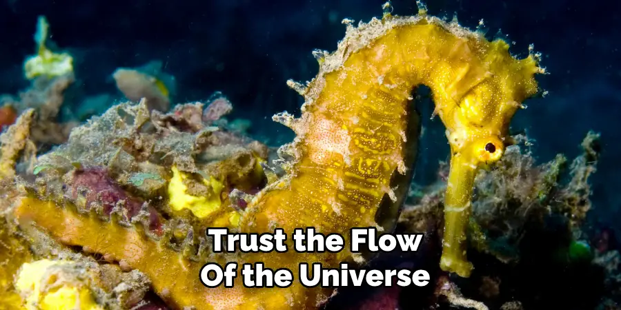 Trust the Flow
Of the Universe