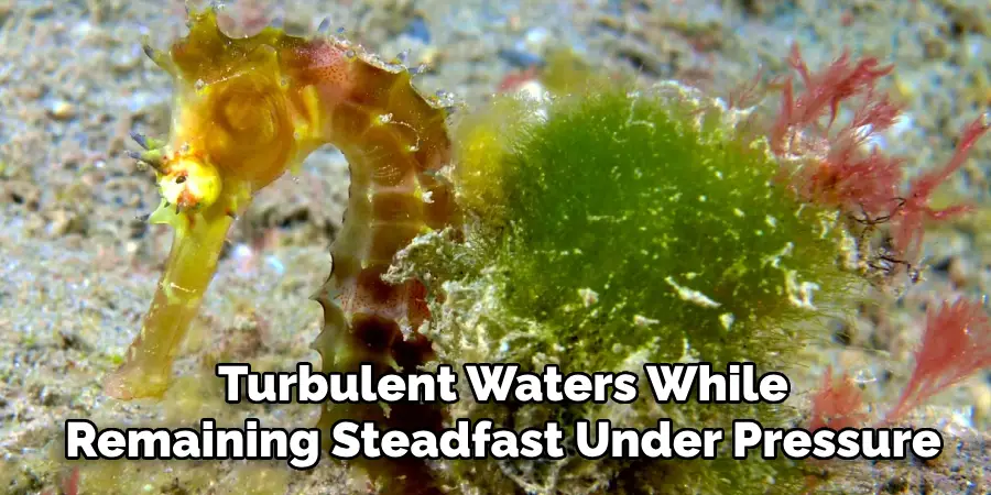 Turbulent Waters While
Remaining Steadfast Under Pressure