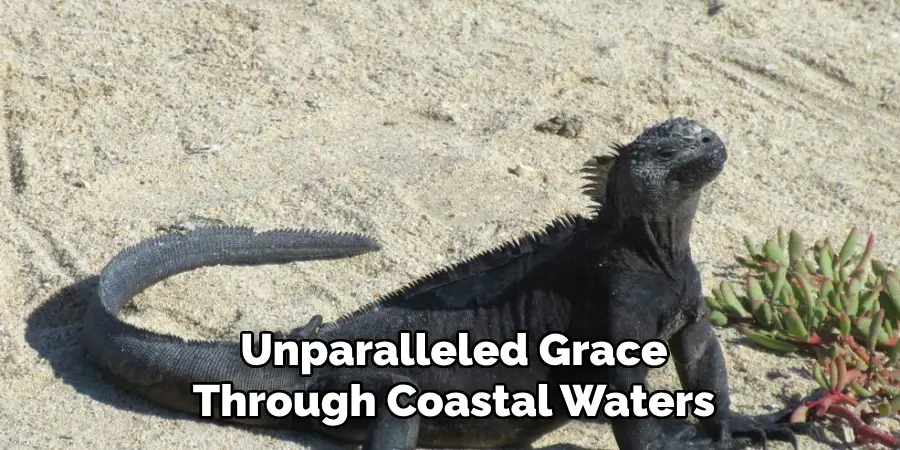Unparalleled Grace
Through Coastal Waters