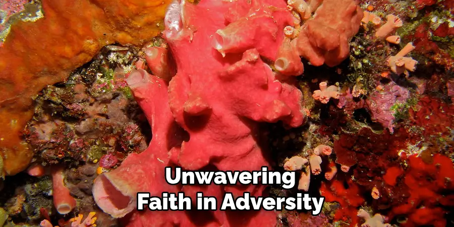 Unwavering
Faith in Adversity
