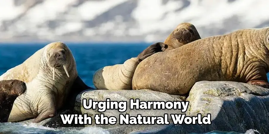 Urging Harmony
With the Natural World