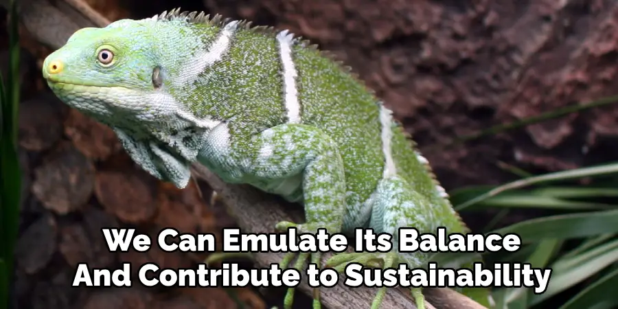 We Can Emulate Its Balance
And Contribute to Sustainability
