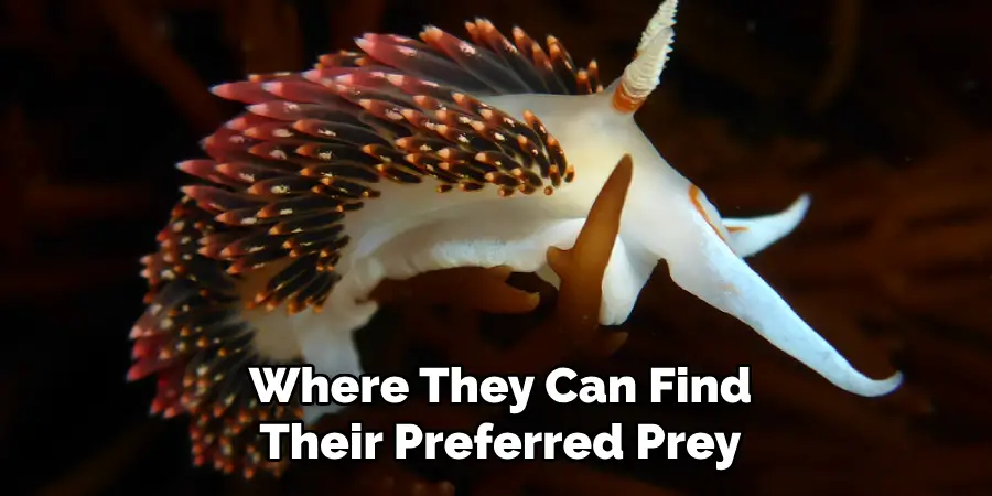 Where They Can Find
Their Preferred Prey