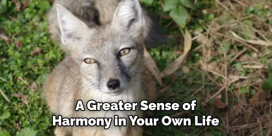 A Greater Sense of
Harmony in Your Own Life