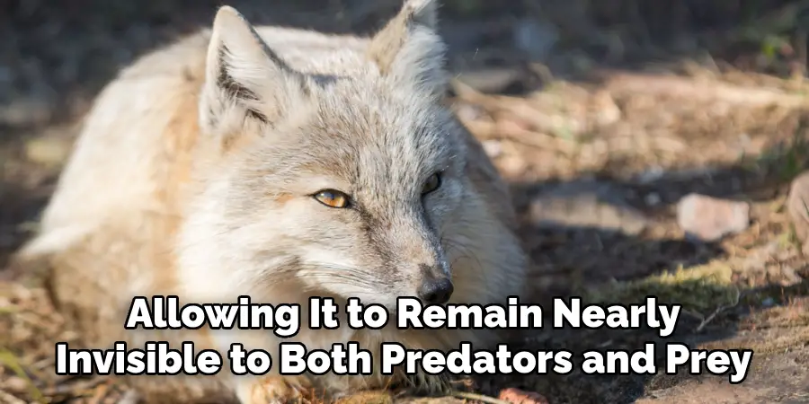 Allowing It to Remain Nearly
Invisible to Both Predators and Prey