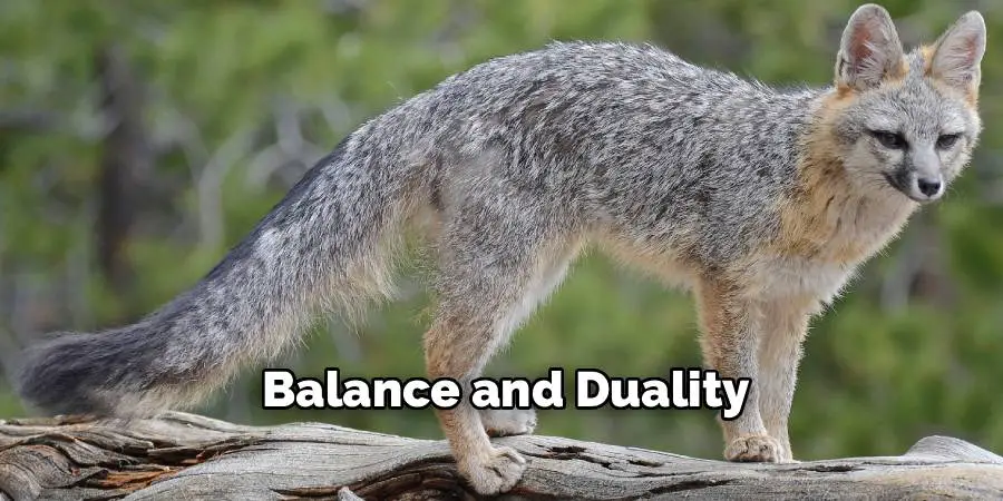 Balance and Duality