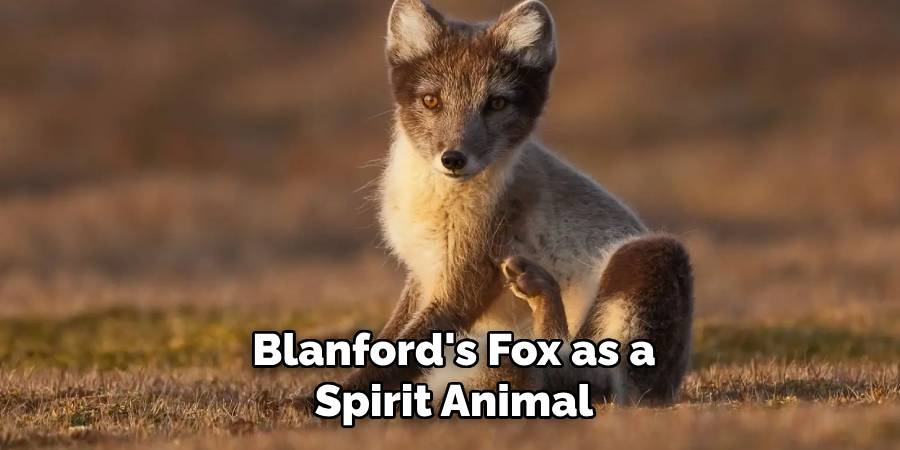 Blanford's Fox as a Spirit Animal