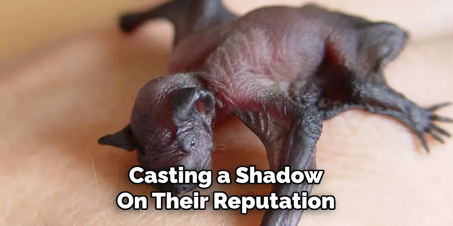 Casting a Shadow
On Their Reputation
