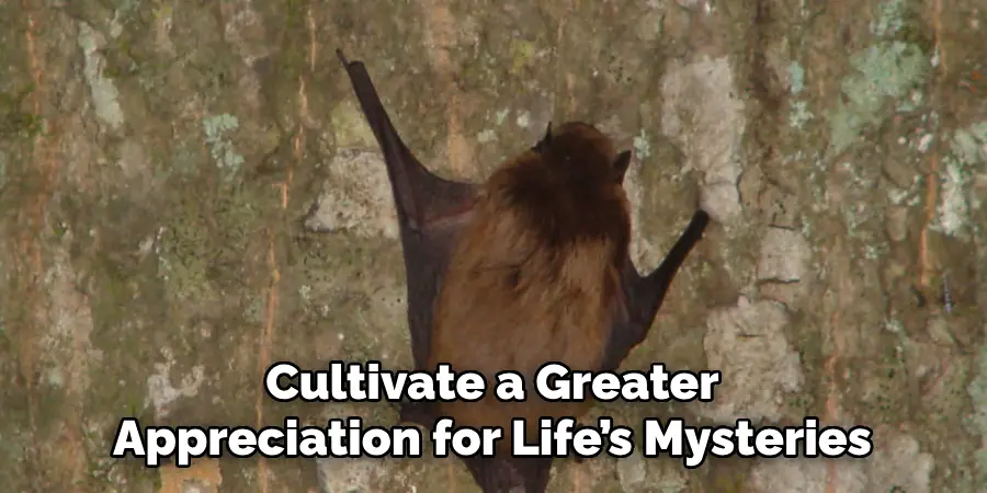 Cultivate a Greater
Appreciation for Life’s Mysteries