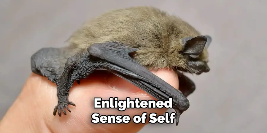 Enlightened
Sense of Self