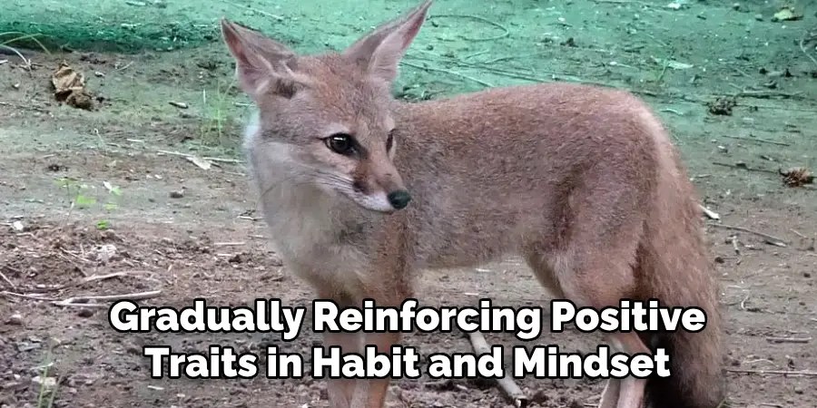 Gradually Reinforcing Positive
Traits in Habit and Mindset
