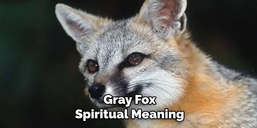 Gray Fox Spiritual Meaning
