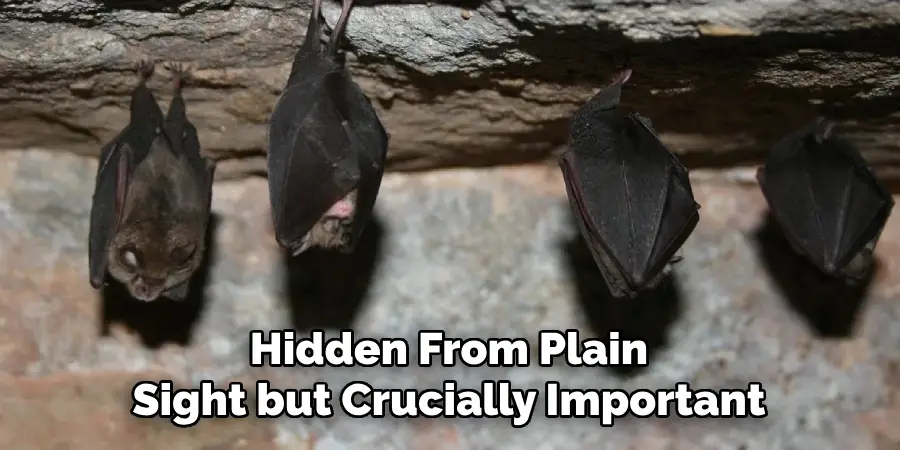 Hidden From Plain
Sight but Crucially Important