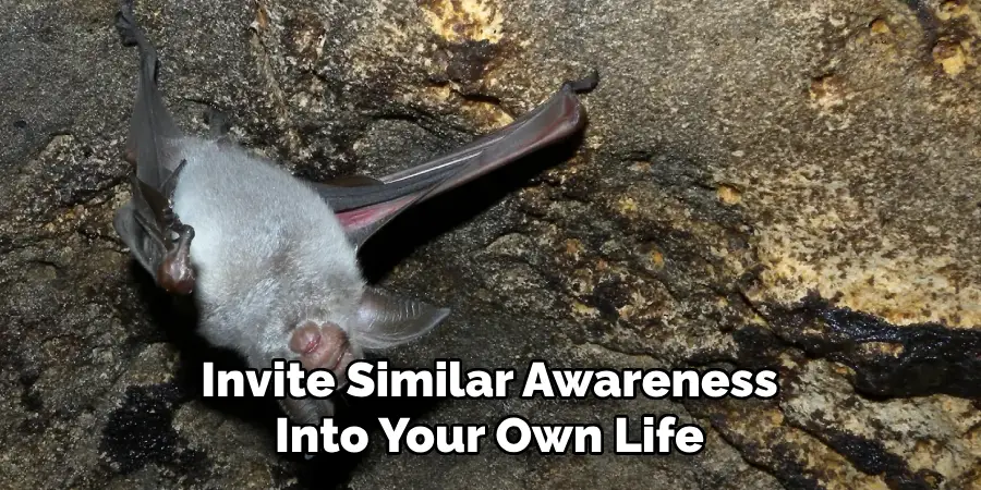 Invite Similar Awareness
Into Your Own Life