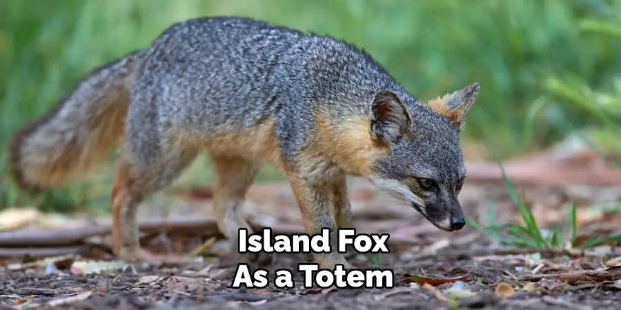 Island Fox as a Totem