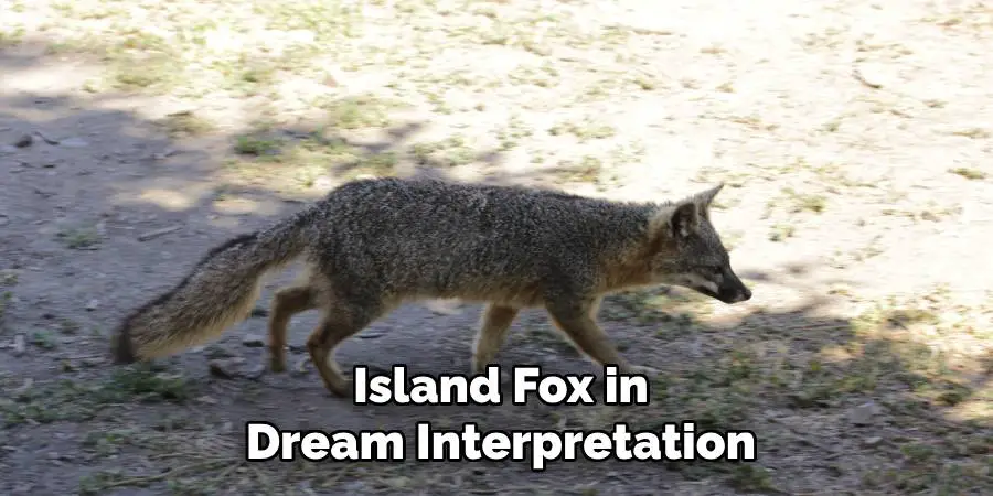 Island Fox in Dream Interpretation
