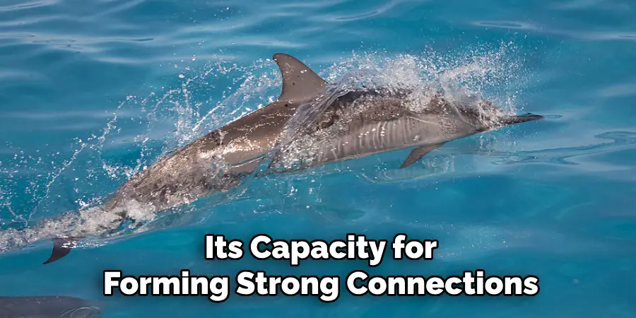 Its Capacity for
Forming Strong Connections