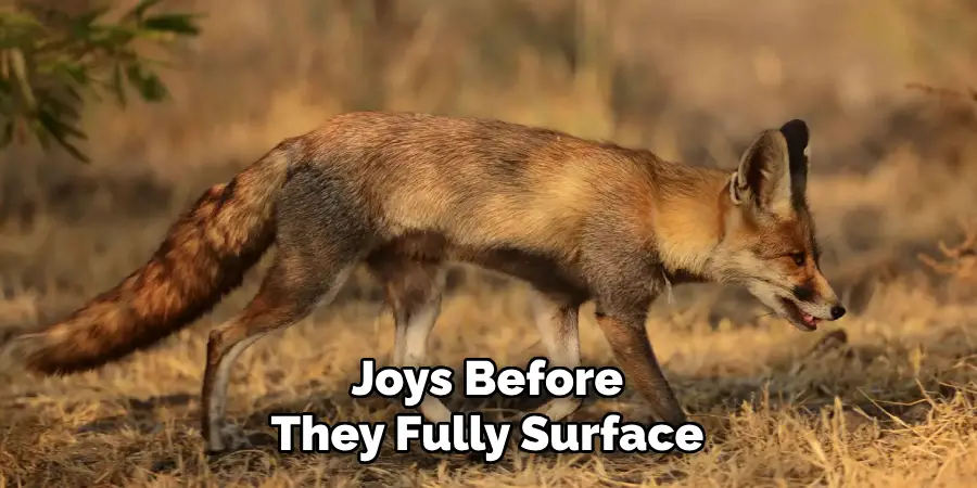 Joys Before
They Fully Surface