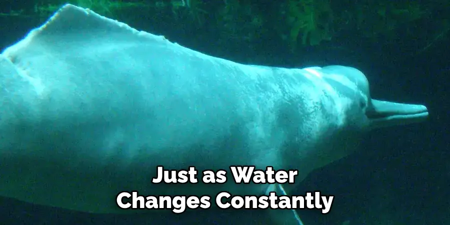 Just as Water
Changes Constantly