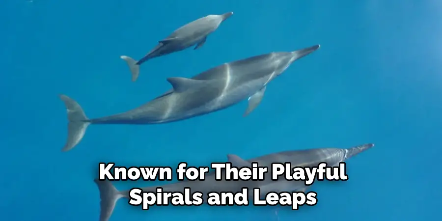Known for Their Playful
Spirals and Leaps