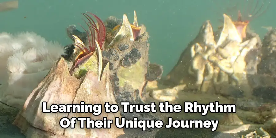 Learning to Trust the Rhythm
Of Their Unique Journey
