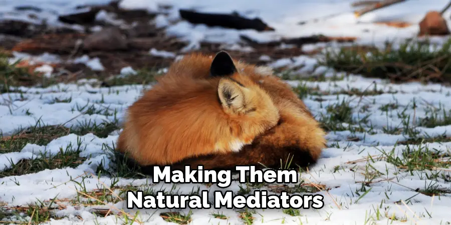 Making Them
Natural Mediators