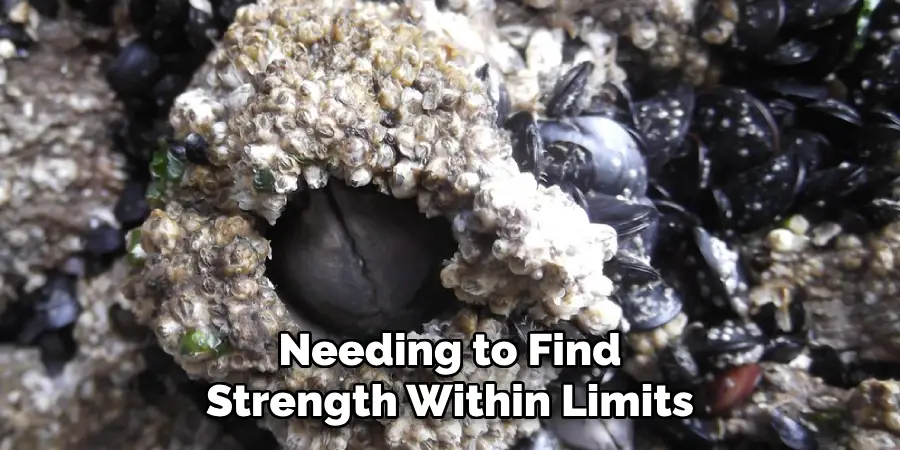 Needing to Find
Strength Within Limits