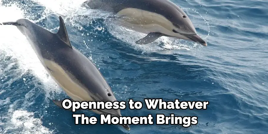 Openness to Whatever
The Moment Brings