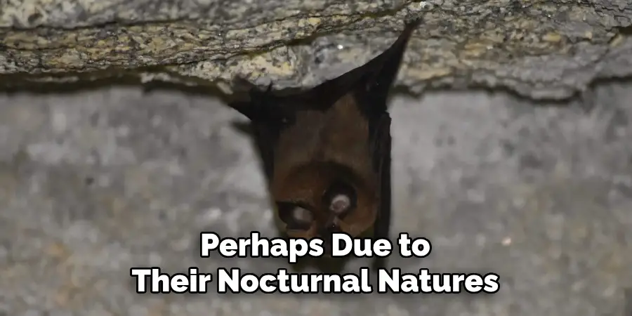 Perhaps Due to
Their Nocturnal Natures