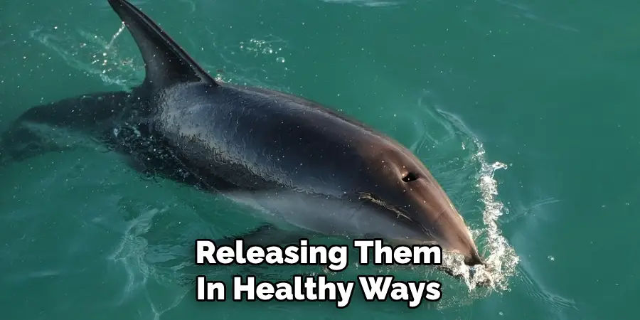 Releasing Them
In Healthy Ways
