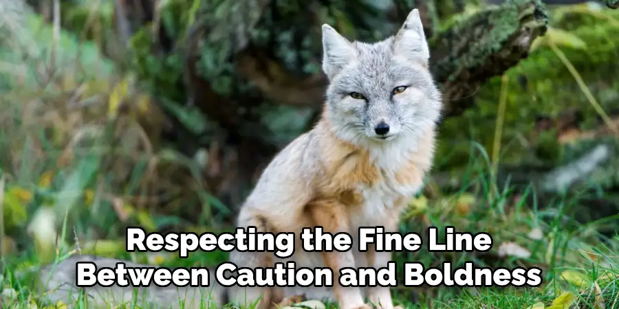 Respecting the Fine Line
Between Caution and Boldness