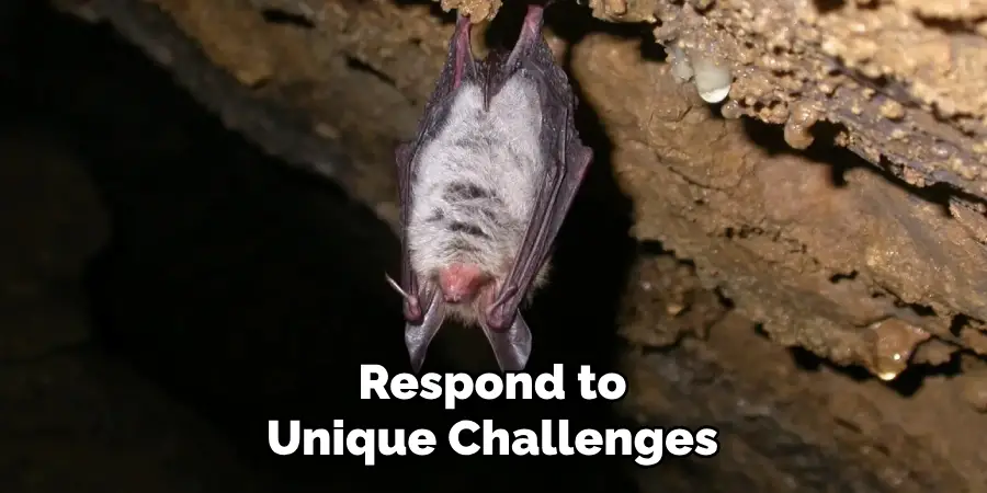 Respond to
Unique Challenges