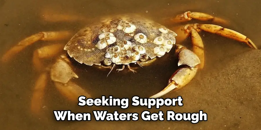 Seeking Support
When Waters Get Rough