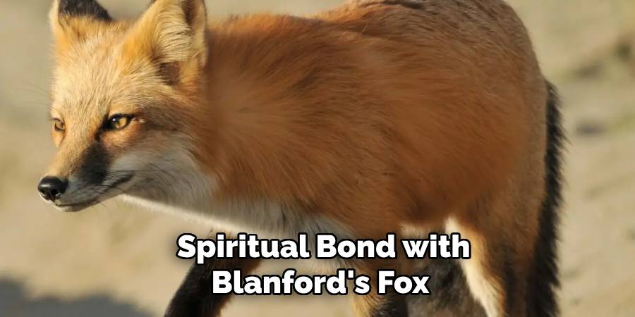 Spiritual Bond with Blanford's Fox